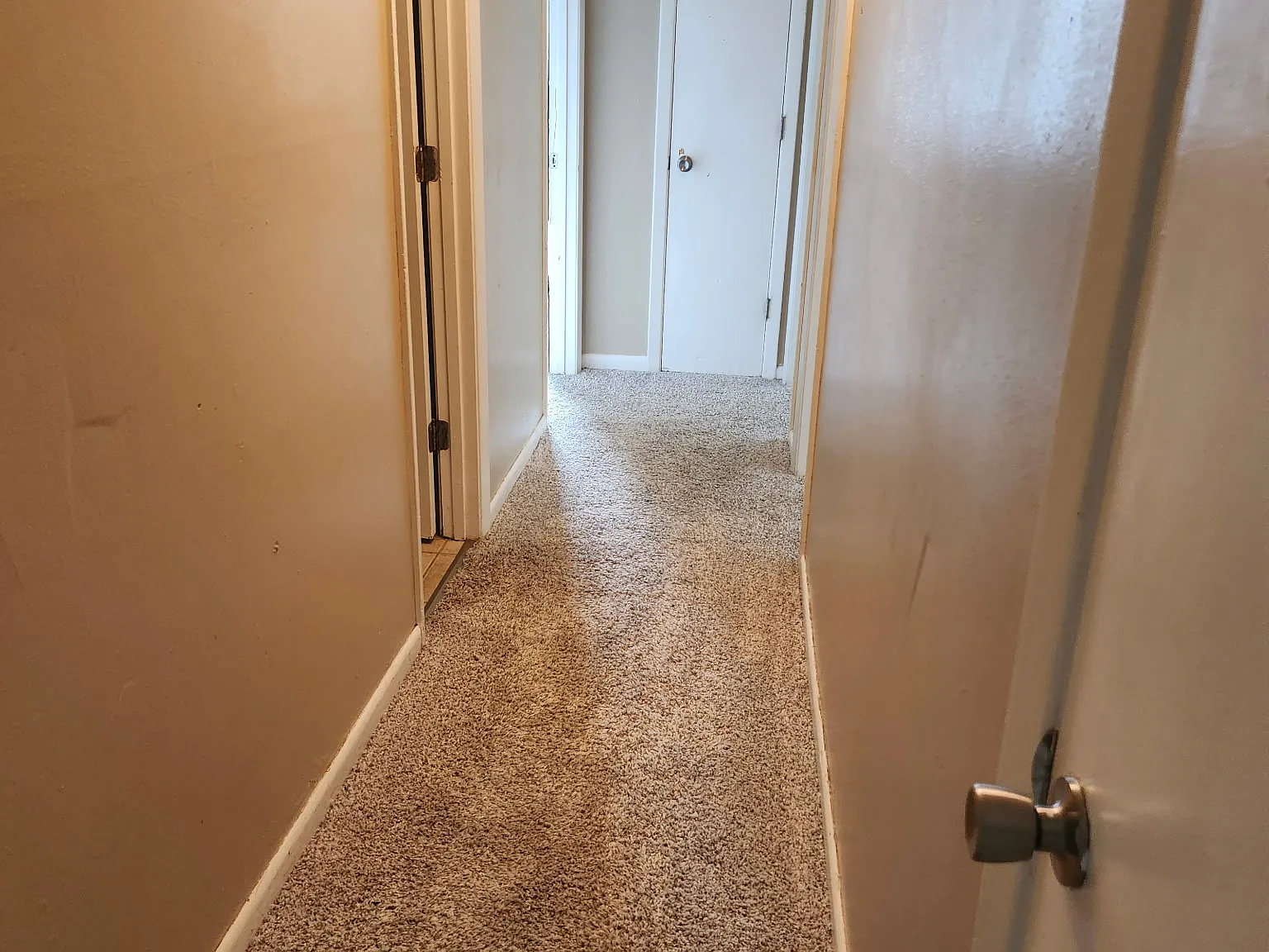 6164 Timberland Drive - 1 — Photo 4