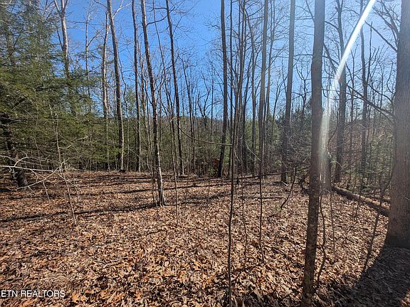 2nd image of N Fork Dr