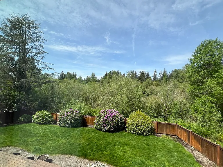 Backyard View
