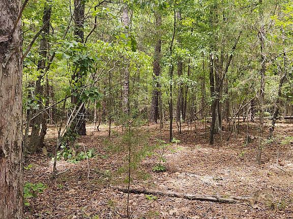 2nd image of 1109 Hopewell Church Rd