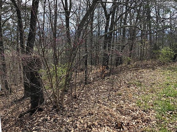 3rd image of Smoky Mountain View Dr