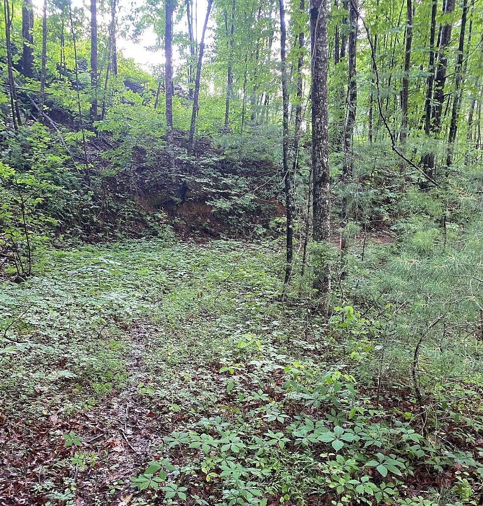 Lots Quarry Ct, Ellijay, GA 30540 Zillow