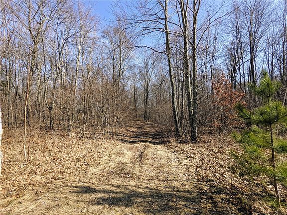 4th image of 0 (Lot 10) 103rd Street S