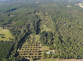 359 Raleigh Cobb Rd, Hawkinsville, GA 31036