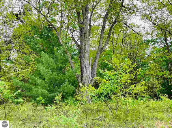 LOT 22 River Woods Rd, Lake City, MI 49651