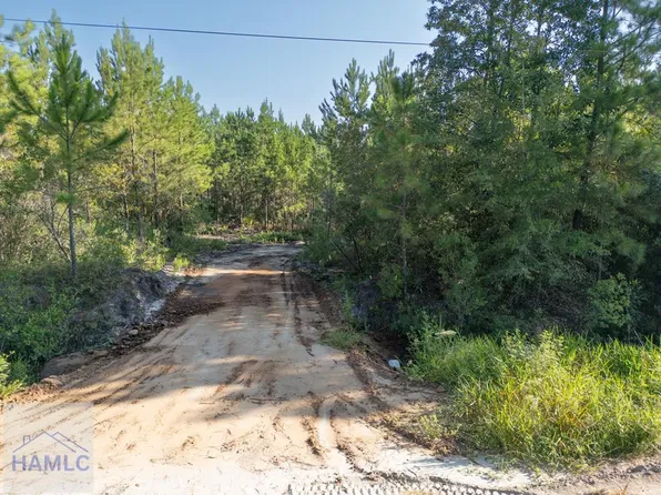 3 Pearl Davis Rd SE, Ludowici, GA 31316