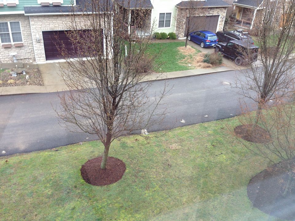 view from window