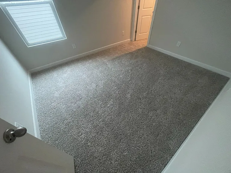 14209 Laughing Gull Dr — Photo 29
