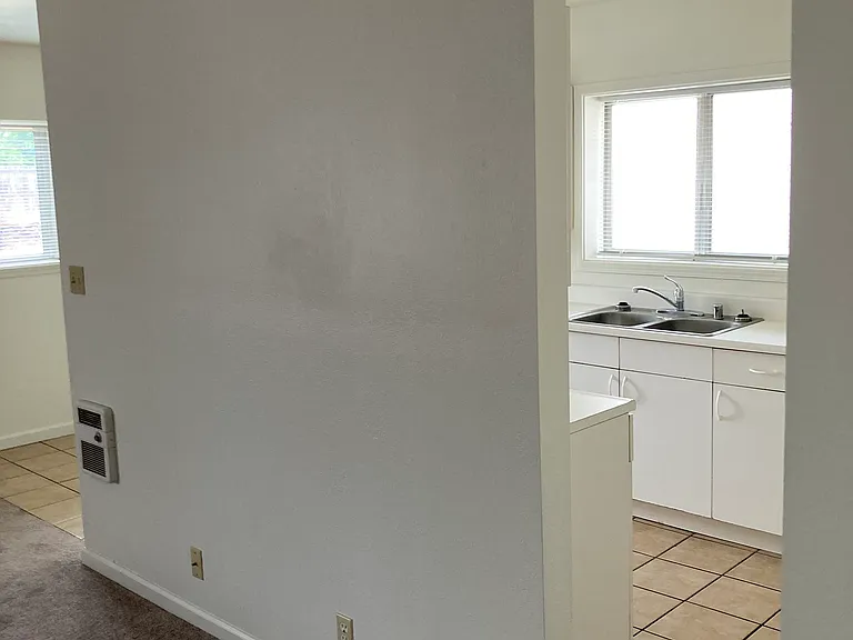 living room and kitchen
