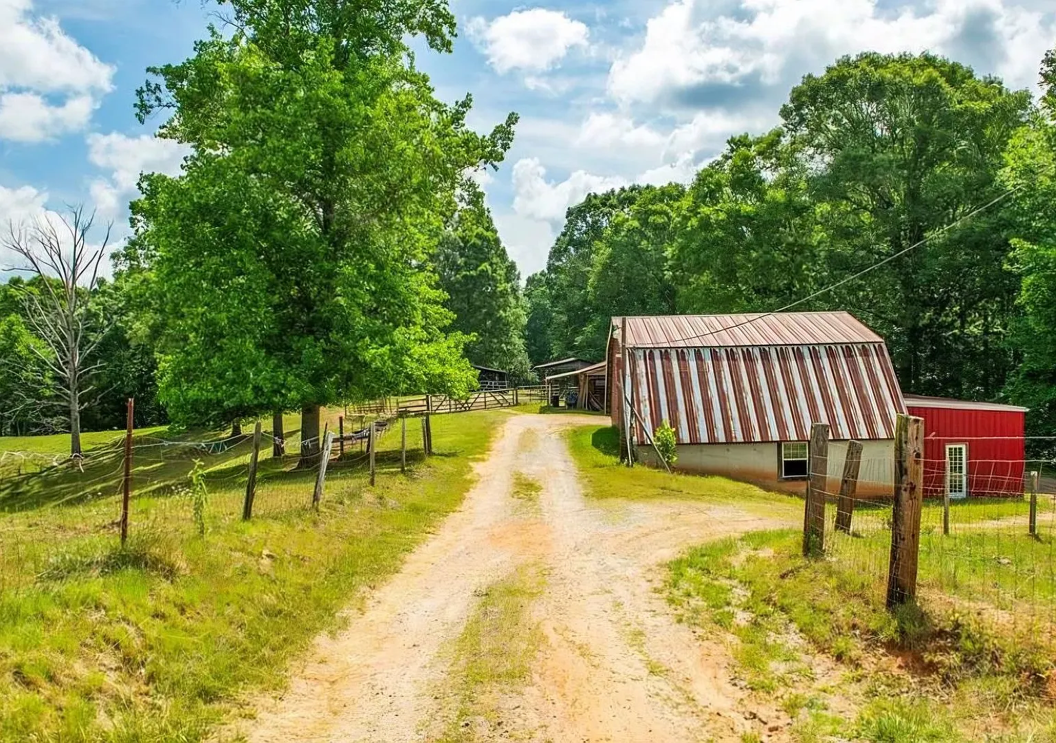 80+ Acre Homestead in Ball Ground Georgia — Photo 4