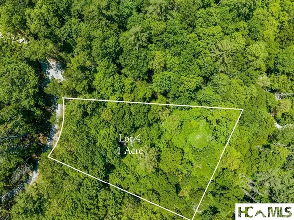 Lot 4 Big Bear Pen Road, Highlands, NC 28741