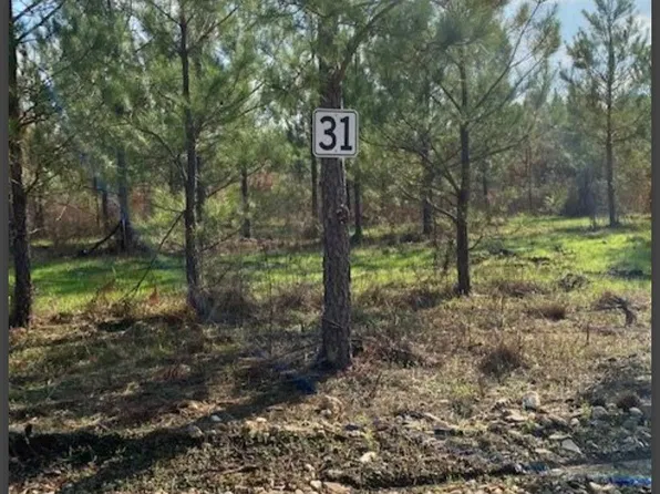 31 Hidden Pines Loop, Broken Bow, OK 74728