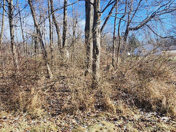 2nd image of 0 Dogwood Rd NE