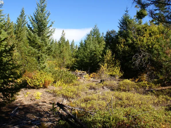 Cedar Valley Rd, Goldendale, WA 98620