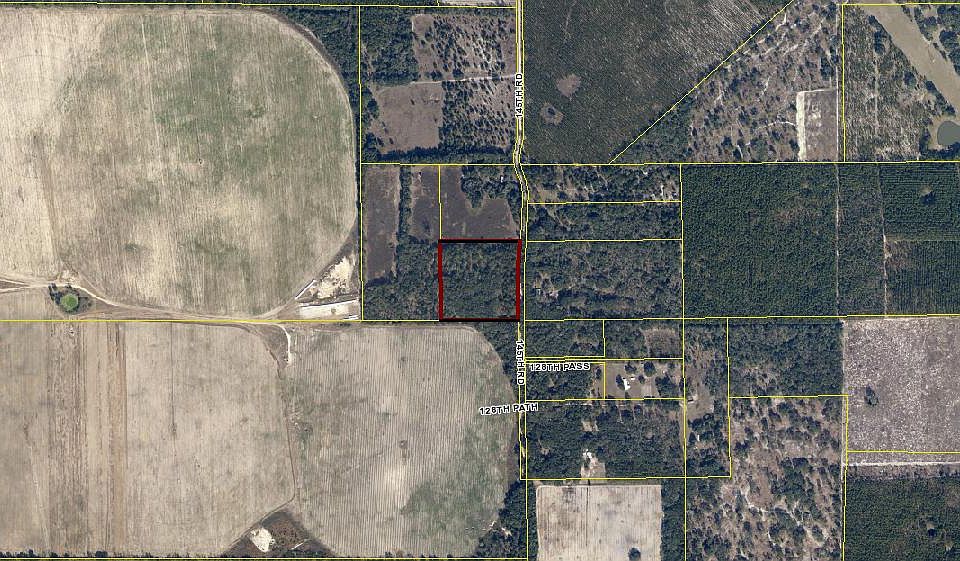 2nd image of 10 Beautiful Wooded Acres