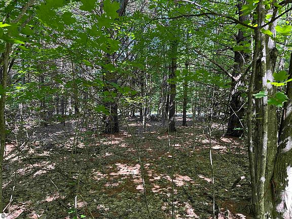 3rd image of LOT 32 Rose Ct