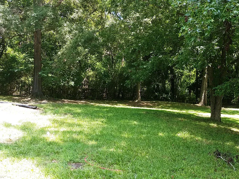 Lovely backyard