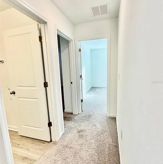 1209 Mattie Pointe Blvd — Photo 33