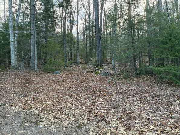 5 Leshure Rd, Rowe, MA 01367