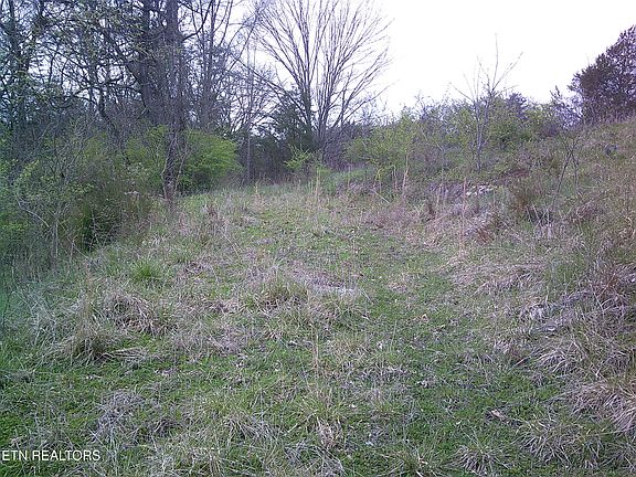 2nd image of 9927 Stringtown Rd