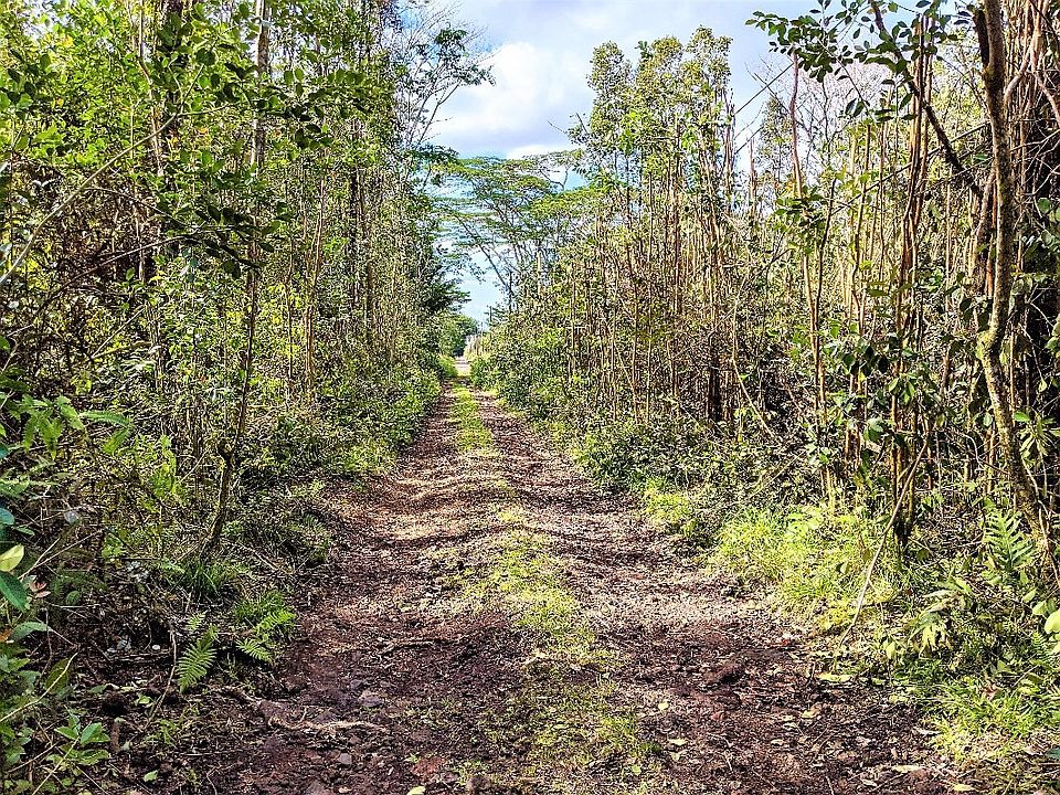 1st image of Sandalwood Ct Lot 19