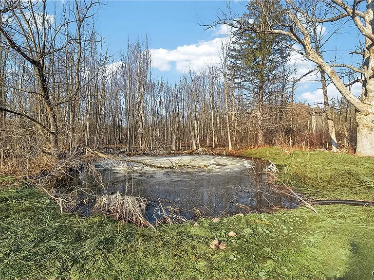6637 Dix Rd — Photo 38