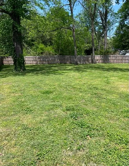 large, level yard with plenty of trees