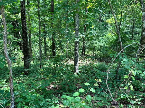 LOT 1719 Rebekah Rdg, Talking Rock, GA 30175