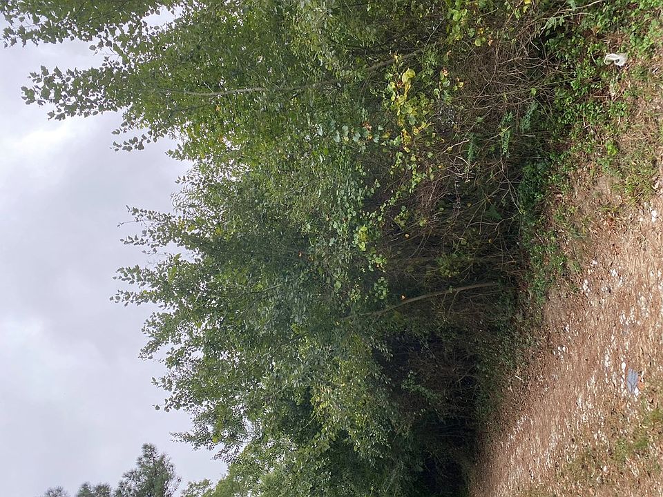 2nd image of LOT B4 Big Pine Rd
