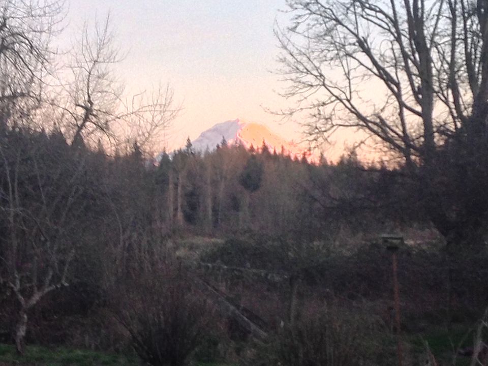 1st image of 7311 214th Ave E