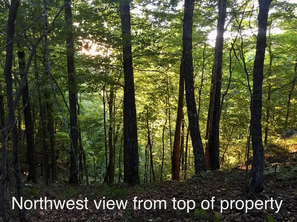 615 Chimney Rock Rd, New Tazewell, TN 37825