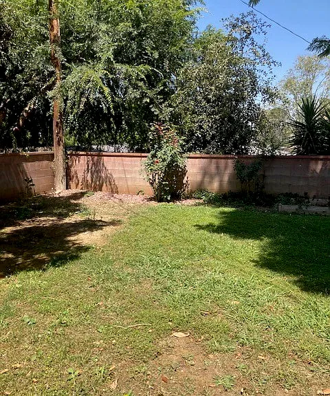 515 Alta Mesa Dr — Photo 5