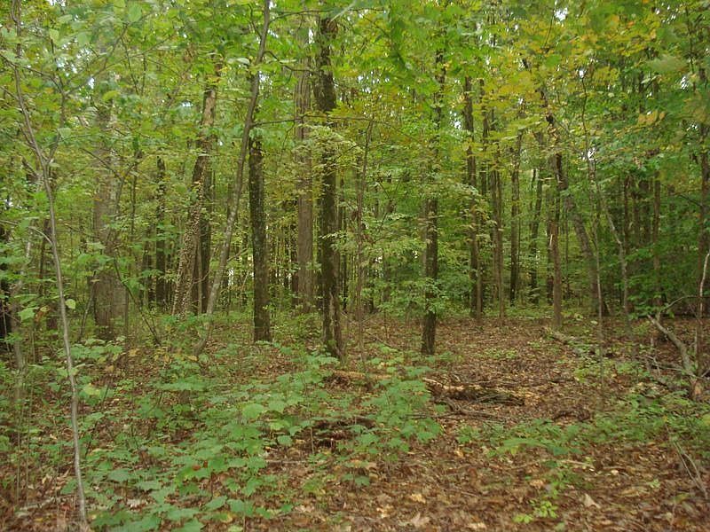 Old Turnpike 002