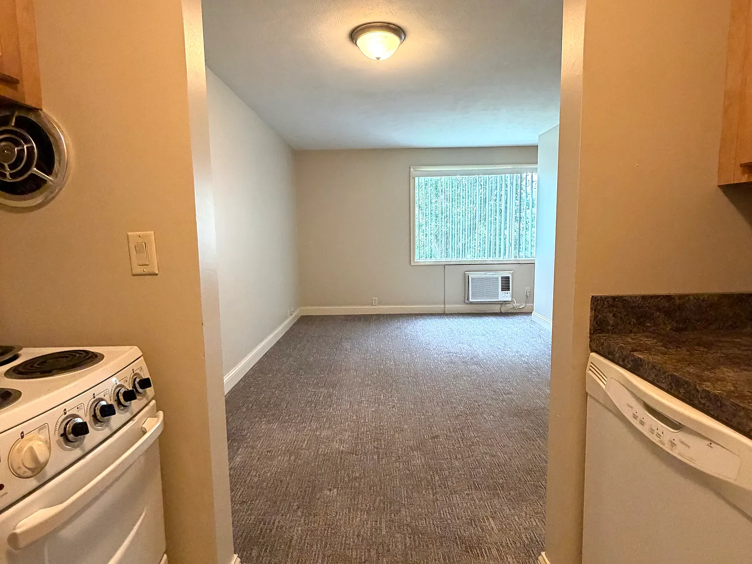 1 bed, 450 sqft, $745 — Photo 4
