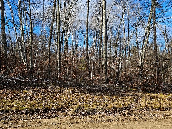 3rd image of Lots 3 & 4 Raccoon Ln