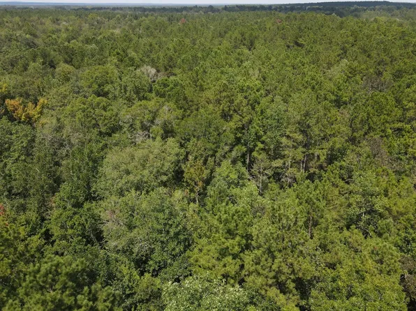 Country Hill Rd, Lucedale, MS 39452