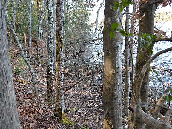 View up the beach area