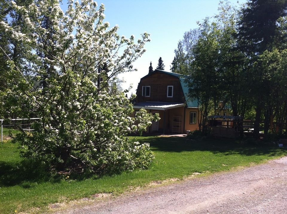 Productive crab apple tree.