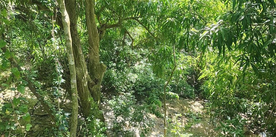 2nd image of Carr. 412, Km. 4.8 CALLE PASCUAL NIEVES, BO. CALVACHE