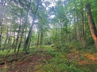 0 Irish Hill Rd W, Rexville, NY 14877