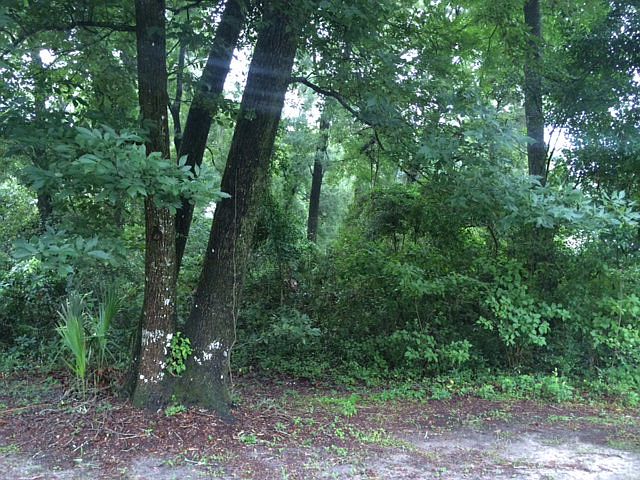 1st image of 9040 Dorie Dr