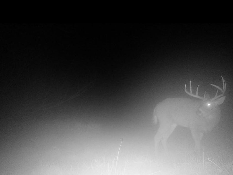 1st image of 5450AC Shellington Dr