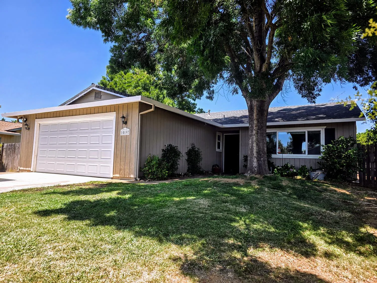 10197 Rockingham Dr photo 1