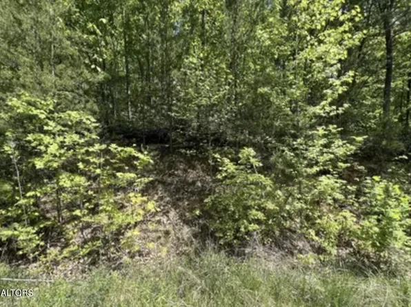 23 Green Meadows Dr Lot 23, Sevierville, TN 37876
