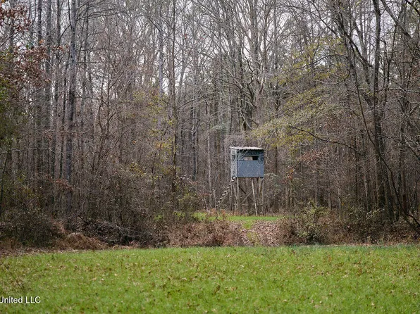 0 Maddox Rd, Ackerman, MS 39735