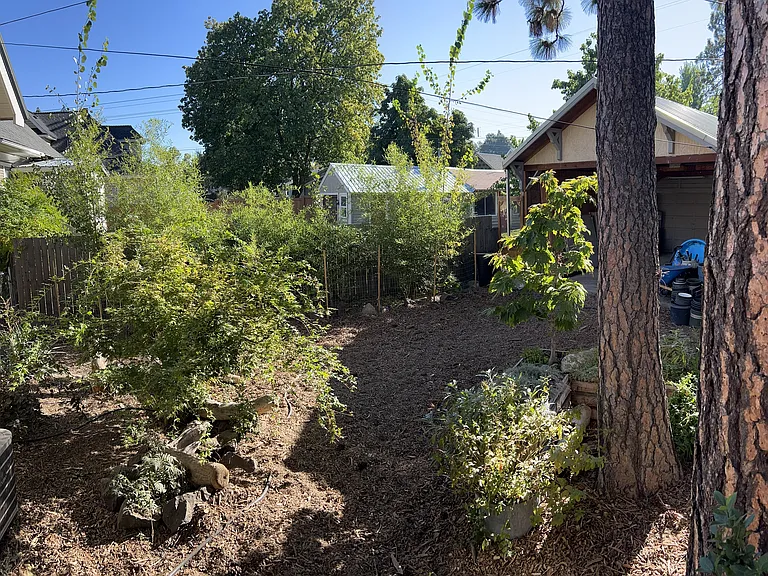 Another view of back yard.