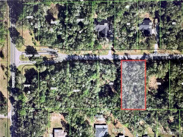 3016 E Angelina St, Inverness, FL 34453