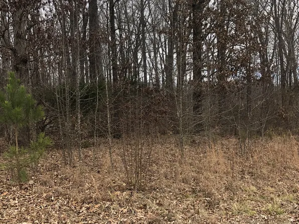 0 Old 64 Hwy #64, Flintville, TN 37335