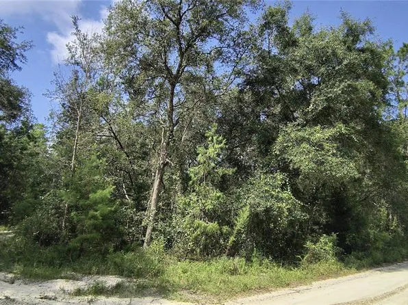 Lake Margaret Blvd Lot 285, Pomona Park, FL 32181