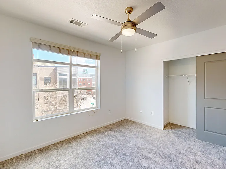 Spacious apartment bedroom with plush carpet flooring.